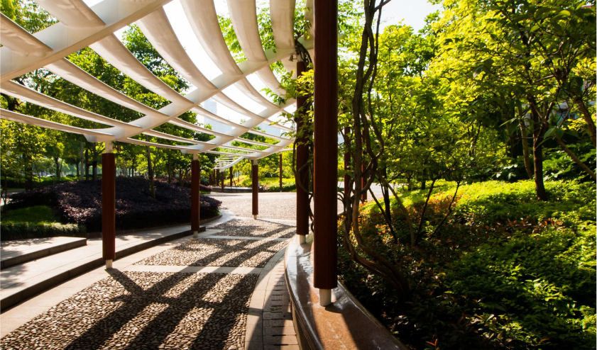 Residential garden design Auckland