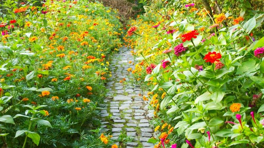 Flower garden design ideas