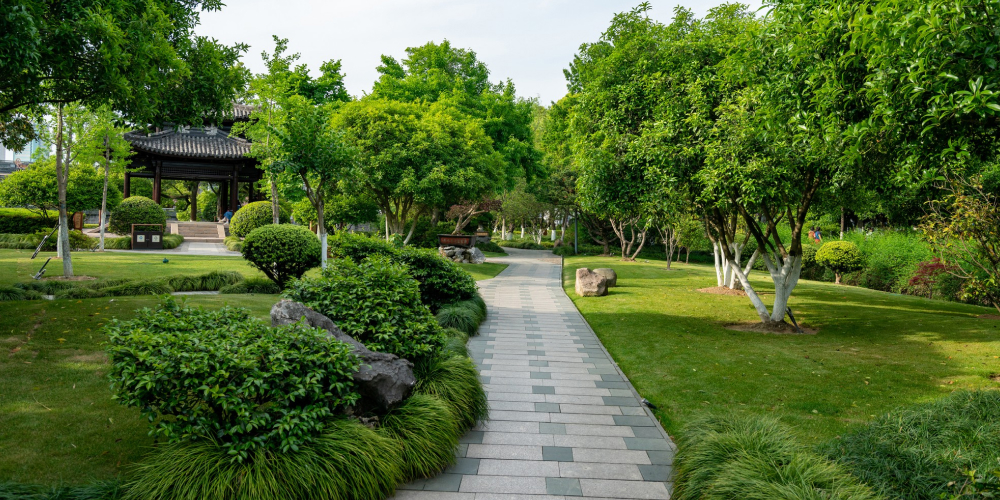 Garden Design & Maintence Services auckland