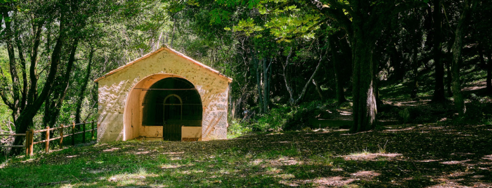 Custom Made Garden Sheds Services