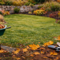 Autumn Landscaping Services in Pokeno — Book Before Winter